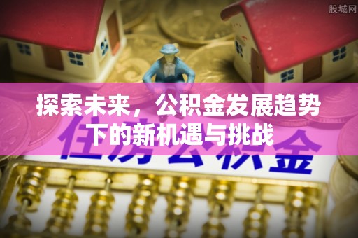 金口河探索未来，公积金发展趋势下的新机遇与挑战