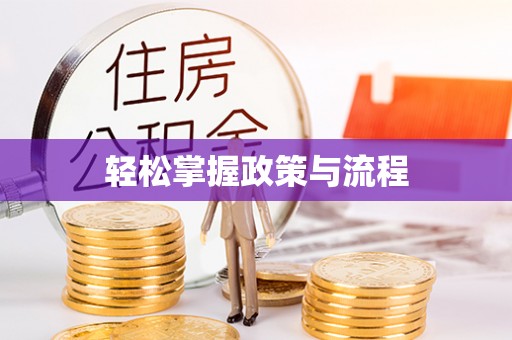 金口河轻松掌握政策与流程