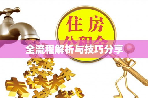 金口河全流程解析与技巧分享